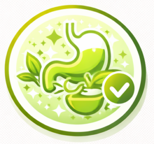 siddha - HuHaHo Wellness Delhi