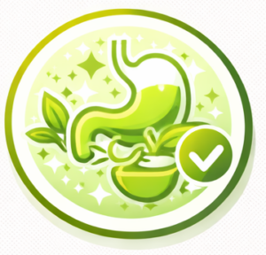 siddha - HuHaHo Wellness Delhi